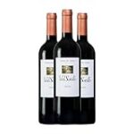 Análisis de las mejores bodegas y vinos de Ismael Arroyo: una joya enológica por descubrir