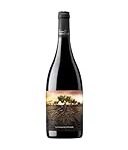 Les Cousins Vino: Análisis y Comparativa de esta Exclusiva Variedad