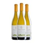 Descubre las joyas enológicas de Casar de Burbia: Análisis y comparativa de sus mejores vinos