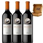 Malleolus 2021: Análisis y comparativa de una joya enológica