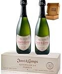El encanto de Juve&Camps: Análisis y comparativa de sus mejores vinos y licores