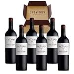 Análisis del precio del vino Figuero 12: ¿Vale la pena su inversión?