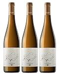 Descubre la excelencia enológica de Torres Bodega: Análisis y comparativa de sus mejores vinos y licores