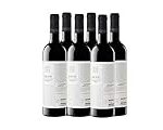 Análisis y comparativa: Vino El Beso - Descubre el sabor más apasionante