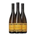 Ribolla: Descubre el encanto de esta uva en los mejores vinos y espumosos