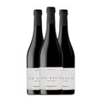 Análisis y comparativa de vinos de Celler el Masroig: una experiencia sensorial única