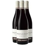 Savigny-lès-Beaune: Descubriendo la excelencia en vinos de Borgoña
