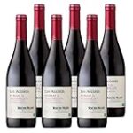 Descubriendo el Vino 6 Elemento: Análisis y Comparativa de Excelencia en la Categoría Vinícola