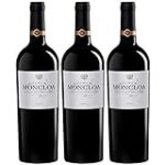 Análisis comparativo: Cabernet Sauvignon vs Syrah, los vinos tinto que conquistan paladares exigentes